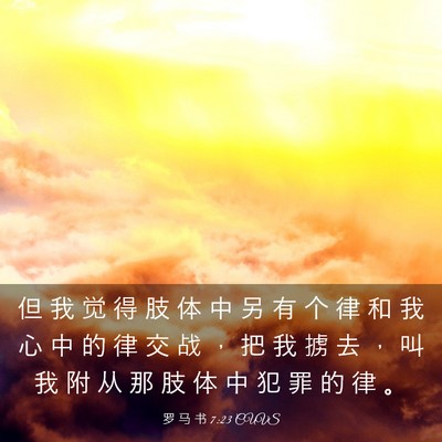 Picture 03 - 罗 马 书 7:23 CUVS - 但 我 觉 得 肢 体 中 另 有 个 律 和 - Bible Verse Picture