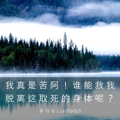Picture 03 - 罗 马 书 7:24 CUVS - 我 真 是 苦 阿 ！ 谁 能 救 我 脱 离 - Bible Verse Picture