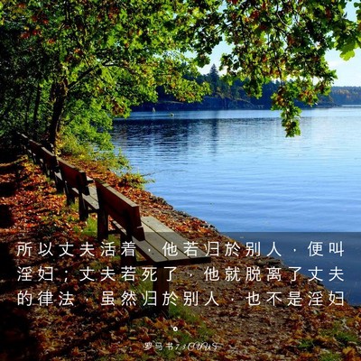 Picture 03 - 罗 马 书 7:3 CUVS - 所 以 丈 夫 活 着 ， 他 若 归 於 别 - Bible Verse Picture