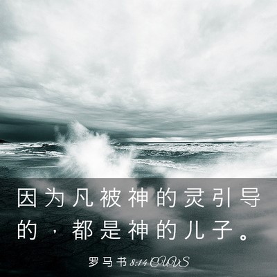 Picture 03 - 罗 马 书 8:14 CUVS - 因 为 凡 被 神 的 灵 引 导 的 ， 都 - Bible Verse Picture