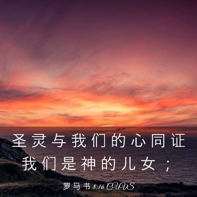 Picture 03 - 罗 马 书 8:16 CUVS - 圣 灵 与 我 们 的 心 同 证 我 们 是 - Bible Verse Picture