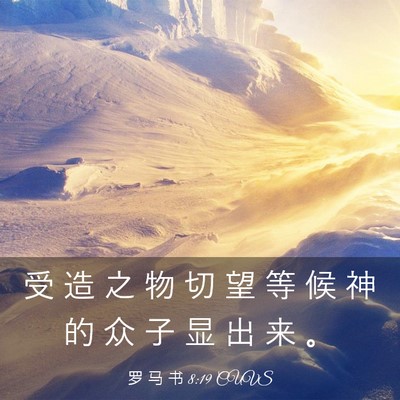 Picture 03 - 罗 马 书 8:19 CUVS - 受 造 之 物 切 望 等 候 神 的 众 子 - Bible Verse Picture