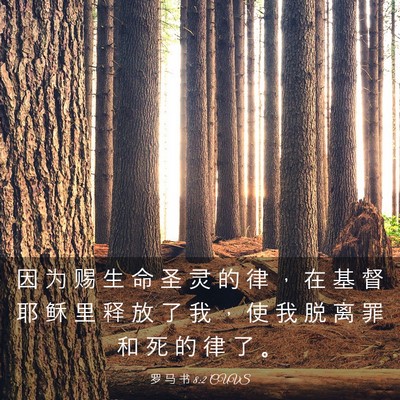 Picture 03 - 罗 马 书 8:2 CUVS - 因 为 赐 生 命 圣 灵 的 律 ， 在 基 - Bible Verse Picture