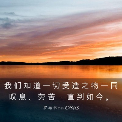 Picture 03 - 罗 马 书 8:22 CUVS - 我 们 知 道 一 切 受 造 之 物 一 同 - Bible Verse Picture