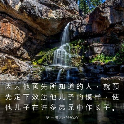 Picture 03 - 罗 马 书 8:29 CUVS - 因 为 他 预 先 所 知 道 的 人 ， 就 - Bible Verse Picture