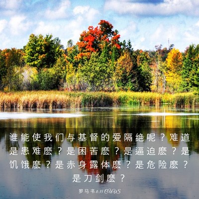 Picture 03 - 罗 马 书 8:35 CUVS - 谁 能 使 我 们 与 基 督 的 爱 隔 绝 - Bible Verse Picture