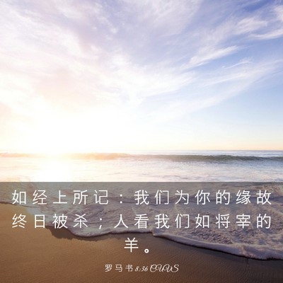 Picture 03 - 罗 马 书 8:36 CUVS - 如 经 上 所 记 ： 我 们 为 你 的 缘 - Bible Verse Picture