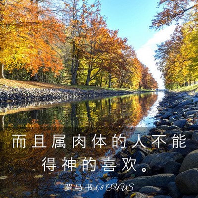 Picture 03 - 罗 马 书 8:8 CUVS - 而 且 属 肉 体 的 人 不 能 得 神 的 - Bible Verse Picture
