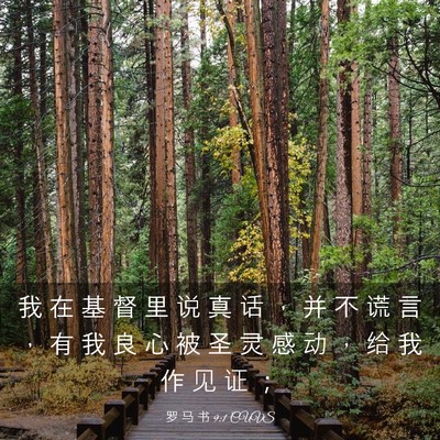 Picture 03 - 罗 马 书 9:1 CUVS - 我 在 基 督 里 说 真 话 ， 并 不 谎 - Bible Verse Picture