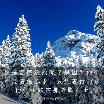 Picture 03 - 罗 马 书 9:32 CUVS - 这 是 甚 麽 缘 故 呢 ？ 是 因 为 他 - Bible Verse Picture