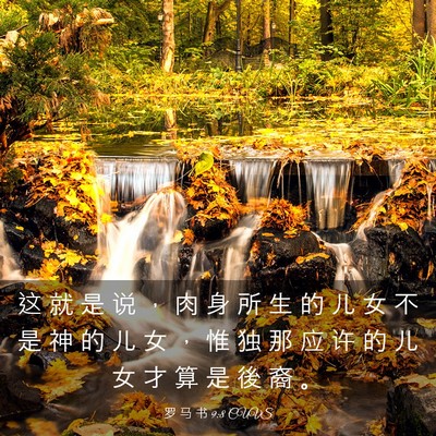 Picture 03 - 罗 马 书 9:8 CUVS - 这 就 是 说 ， 肉 身 所 生 的 儿 女 - Bible Verse Picture