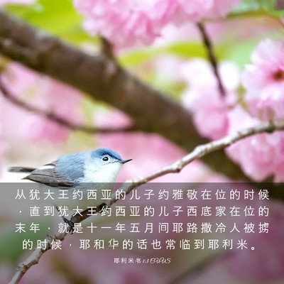 Picture 03 - 耶 利 米 书 1:3 CUVS - 从 犹 大 王 约 西 亚 的 儿 子 约 雅 - Bible Verse Picture