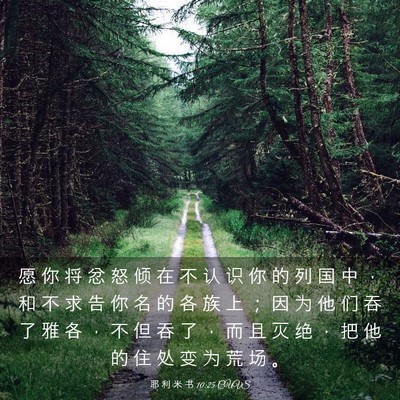 Picture 03 - 耶 利 米 书 10:25 CUVS - 愿 你 将 忿 怒 倾 在 不 认 识 你 的 - Bible Verse Picture