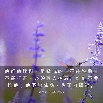 Picture 03 - 耶 利 米 书 10:5 CUVS - 他 好 像 棕 树 ， 是 镟 成 的 ， 不 - Bible Verse Picture