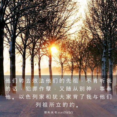 Picture 03 - 耶 利 米 书 11:10 CUVS - 他 们 转 去 效 法 他 们 的 先 祖 ， - Bible Verse Picture