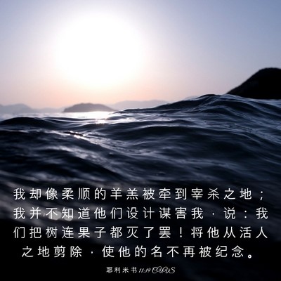 Picture 03 - 耶 利 米 书 11:19 CUVS - 我 却 像 柔 顺 的 羊 羔 被 牵 到 宰 - Bible Verse Picture