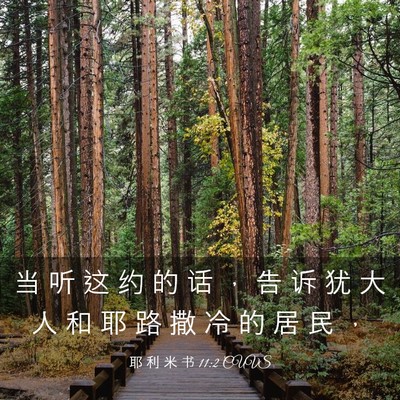 Picture 03 - 耶 利 米 书 11:2 CUVS - 当 听 这 约 的 话 ， 告 诉 犹 大 人 - Bible Verse Picture