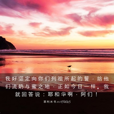 Picture 03 - 耶 利 米 书 11:5 CUVS - 我 好 坚 定 向 你 们 列 祖 所 起 的 - Bible Verse Picture