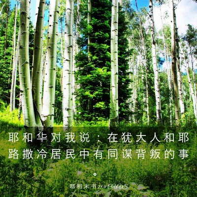 Picture 03 - 耶 利 米 书 11:9 CUVS - 耶 和 华 对 我 说 ： 在 犹 大 人 和 - Bible Verse Picture