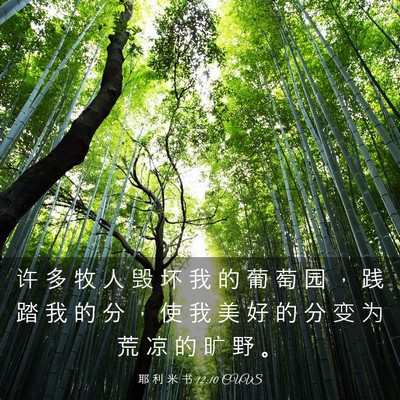 Picture 03 - 耶 利 米 书 12:10 CUVS - 许 多 牧 人 毁 坏 我 的 葡 萄 园 ， - Bible Verse Picture