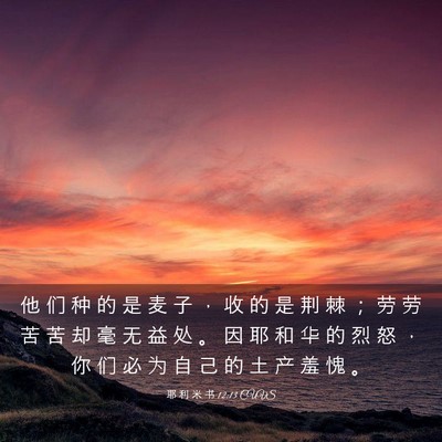 Picture 03 - 耶 利 米 书 12:13 CUVS - 他 们 种 的 是 麦 子 ， 收 的 是 荆 - Bible Verse Picture