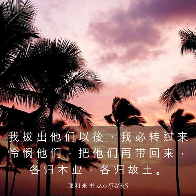 Picture 03 - 耶 利 米 书 12:15 CUVS - 我 拔 出 他 们 以 後 ， 我 必 转 过 - Bible Verse Picture