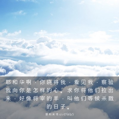 Picture 03 - 耶 利 米 书 12:3 CUVS - 耶 和 华 啊 ， 你 晓 得 我 ， 看 见 - Bible Verse Picture