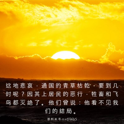 Picture 03 - 耶 利 米 书 12:4 CUVS - 这 地 悲 哀 ， 通 国 的 青 草 枯 乾 - Bible Verse Picture