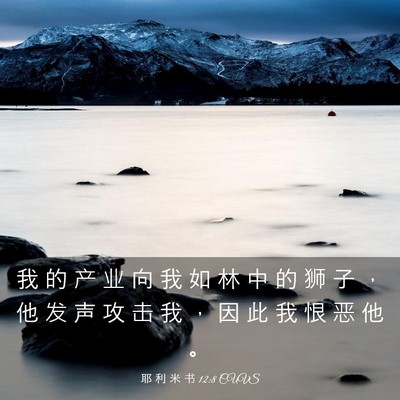 Picture 03 - 耶 利 米 书 12:8 CUVS - 我 的 产 业 向 我 如 林 中 的 狮 子 - Bible Verse Picture
