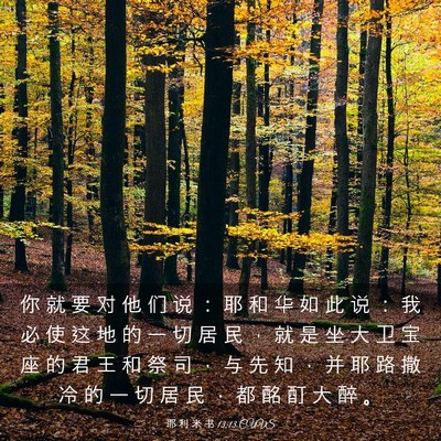 Picture 03 - 耶 利 米 书 13:13 CUVS - 你 就 要 对 他 们 说 ： 耶 和 华 如 - Bible Verse Picture