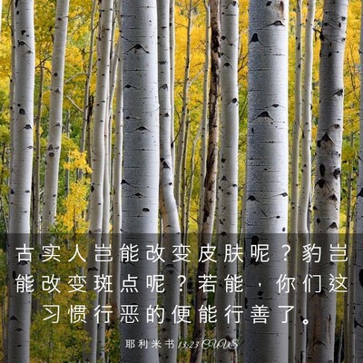 Picture 03 - 耶 利 米 书 13:23 CUVS - 古 实 人 岂 能 改 变 皮 肤 呢 ？ 豹 - Bible Verse Picture