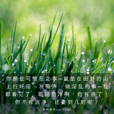 Picture 03 - 耶 利 米 书 13:27 CUVS - 你 那 些 可 憎 恶 之 事 ─ 就 是 在 - Bible Verse Picture