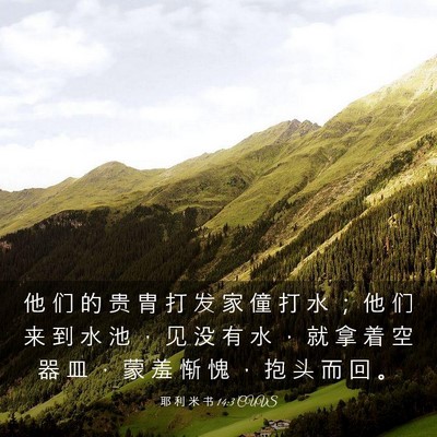 Picture 03 - 耶 利 米 书 14:3 CUVS - 他 们 的 贵 胄 打 发 家 僮 打 水 ； - Bible Verse Picture