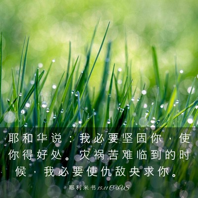Picture 03 - 耶 利 米 书 15:11 CUVS - 耶 和 华 说 ： 我 必 要 坚 固 你 ， - Bible Verse Picture