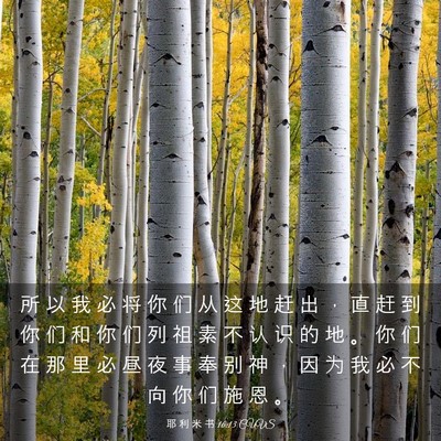 Picture 03 - 耶 利 米 书 16:13 CUVS - 所 以 我 必 将 你 们 从 这 地 赶 出 - Bible Verse Picture