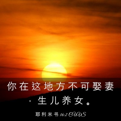 Picture 03 - 耶 利 米 书 16:2 CUVS - 你 在 这 地 方 不 可 娶 妻 ， 生 儿 - Bible Verse Picture