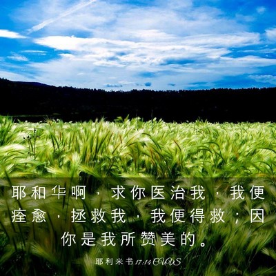 Picture 03 - 耶 利 米 书 17:14 CUVS - 耶 和 华 啊 ， 求 你 医 治 我 ， 我 - Bible Verse Picture