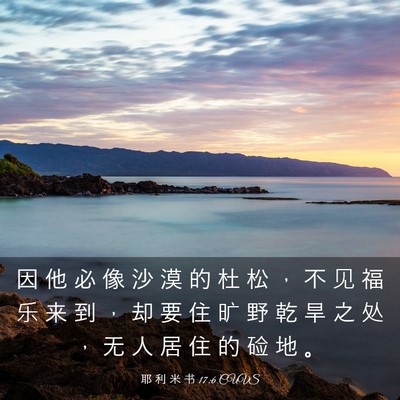 Picture 03 - 耶 利 米 书 17:6 CUVS - 因 他 必 像 沙 漠 的 杜 松 ， 不 见 - Bible Verse Picture