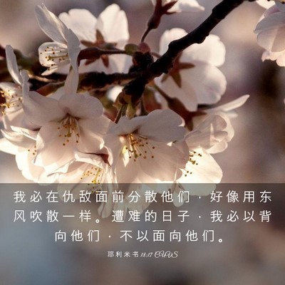 Picture 03 - 耶 利 米 书 18:17 CUVS - 我 必 在 仇 敌 面 前 分 散 他 们 ， - Bible Verse Picture