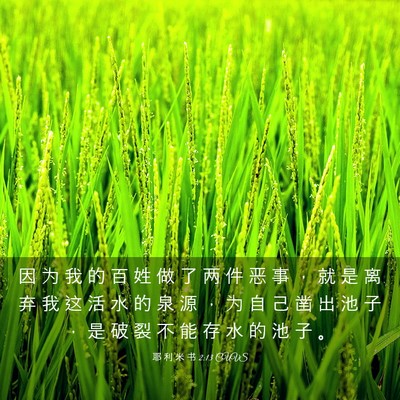 Picture 03 - 耶 利 米 书 2:13 CUVS - 因 为 我 的 百 姓 做 了 两 件 恶 事 - Bible Verse Picture