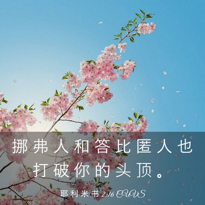 Picture 03 - 耶 利 米 书 2:16 CUVS - 挪 弗 人 和 答 比 匿 人 也 打 破 你 - Bible Verse Picture