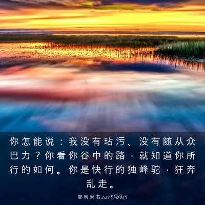 Picture 03 - 耶 利 米 书 2:23 CUVS - 你 怎 能 说 ： 我 没 有 玷 污 、 没 - Bible Verse Picture