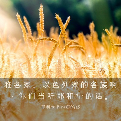 Picture 03 - 耶 利 米 书 2:4 CUVS - 雅 各 家 、 以 色 列 家 的 各 族 啊 - Bible Verse Picture