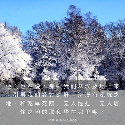 Picture 03 - 耶 利 米 书 2:6 CUVS - 他 们 也 不 说 ： 那 领 我 们 从 埃 - Bible Verse Picture