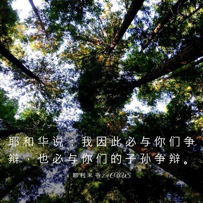 Picture 03 - 耶 利 米 书 2:9 CUVS - 耶 和 华 说 ： 我 因 此 必 与 你 们 - Bible Verse Picture