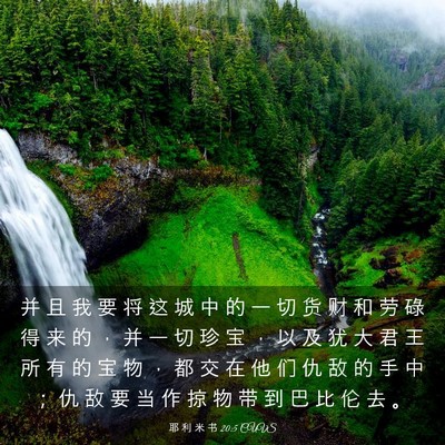 Picture 03 - 耶 利 米 书 20:5 CUVS - 并 且 我 要 将 这 城 中 的 一 切 货 - Bible Verse Picture