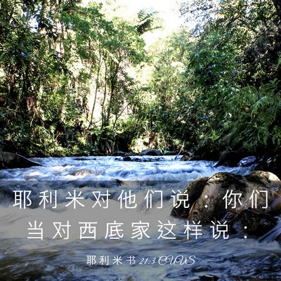 Picture 03 - 耶 利 米 书 21:3 CUVS - 耶 利 米 对 他 们 说 ： 你 们 当 对 - Bible Verse Picture