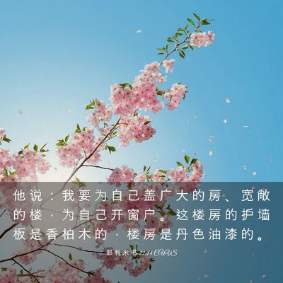 Picture 03 - 耶 利 米 书 22:14 CUVS - 他 说 ： 我 要 为 自 己 盖 广 大 的 - Bible Verse Picture
