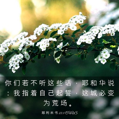 Picture 03 - 耶 利 米 书 22:5 CUVS - 你 们 若 不 听 这 些 话 ， 耶 和 华 - Bible Verse Picture