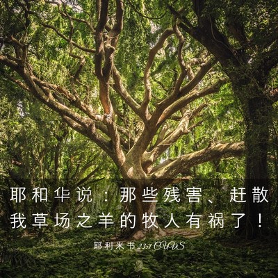 Picture 03 - 耶 利 米 书 23:1 CUVS - 耶 和 华 说 ： 那 些 残 害 、 赶 散 - Bible Verse Picture